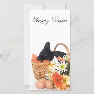 Easter Bunny Holiday Card