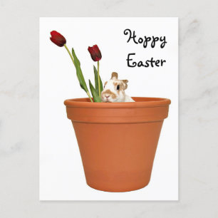 Easter Bunny Holiday Postcard