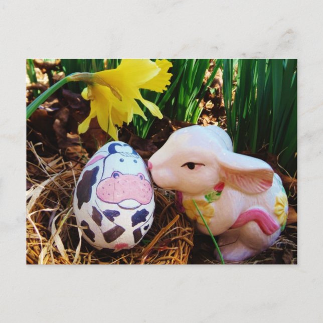 Easter Bunny kissing Cow Egg Holiday Postcard (Front)