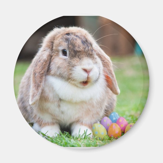 Easter Bunny Magnet (Front)
