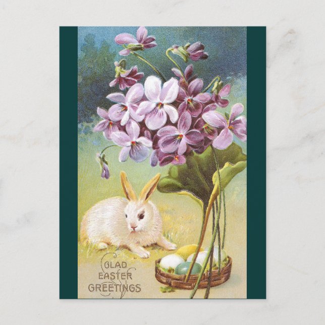 Easter Bunny & Violets Holiday Postcard (Front)