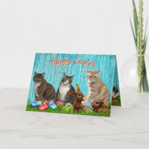 Easter Card - Cats and Bunnies