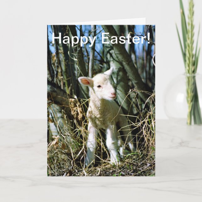 Easter Card - Lamb (Front)