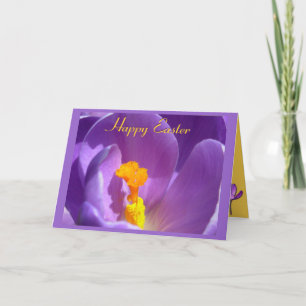 Easter Cards Crocus Flowers Custom Greeting Card