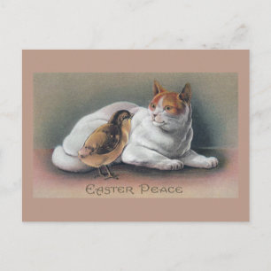 Easter Cat and Chick Holiday Postcard