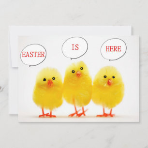 "EASTER CELEBRATION WITH TALKING CHICKS" INVITE