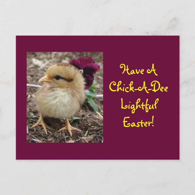 Easter Chick-A-Dee-Light Holiday Postcard (Front)
