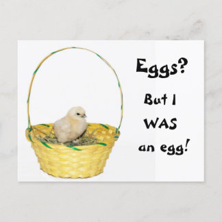 Easter chick holiday postcard