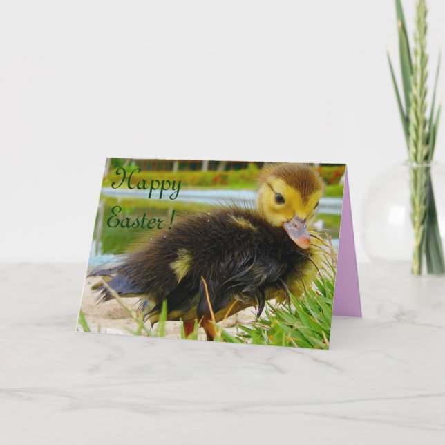 Easter Chick I Holiday Card (Front)