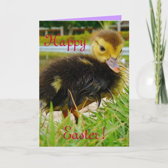 Easter Chick III Holiday Card (Front)