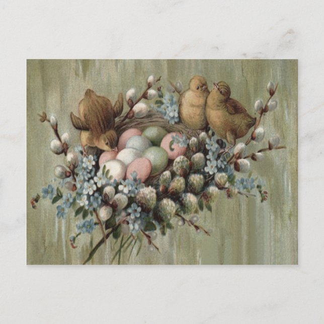 Easter Chick Nest Coloured Egg Forget-Me-Nots Holiday Postcard (Front)