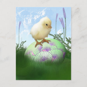 Easter Chick Postcard