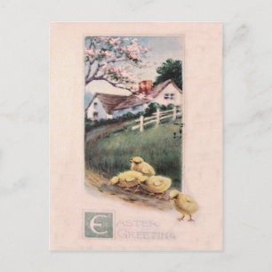 Easter Chick Yard Dogwood Tree Holiday Postcard