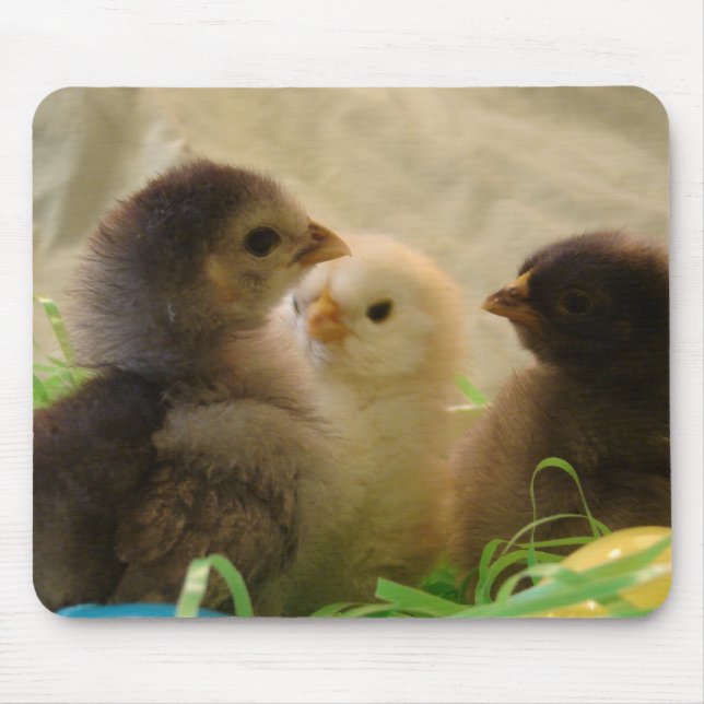 Easter Chickens Mouse Pad (Front)