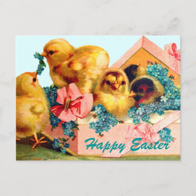 Easter Chicks Holiday Postcard (Front)