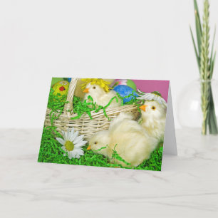Easter Chicks with Eggs Holiday Card