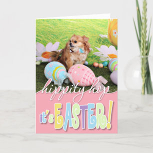 Easter - Chihuahua - Carlito Holiday Card