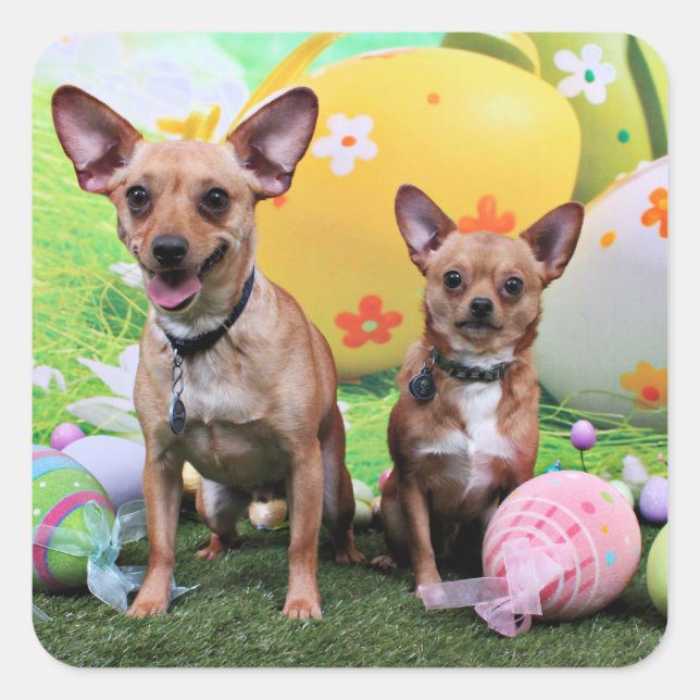 Easter - Chipin Rockwell - Chihuahua Rambo - Mahne Square Sticker (Front)