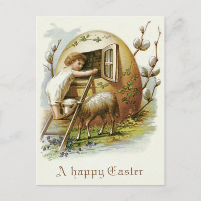 Easter Coloured Egg Lamb Forget-Me-Not Holiday Postcard (Front)