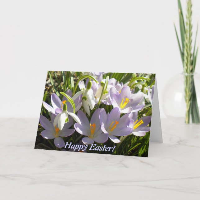 Easter Crocus Greeting Card (Front)