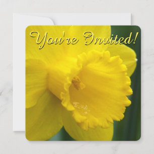 Easter Daffodil Invitations Easter Cards Customize