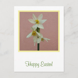 Easter Daffodil Postcard