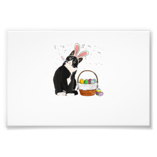 Easter Day Cat Bunny Ears Eggs Shirt Men Women Eas Photo Print