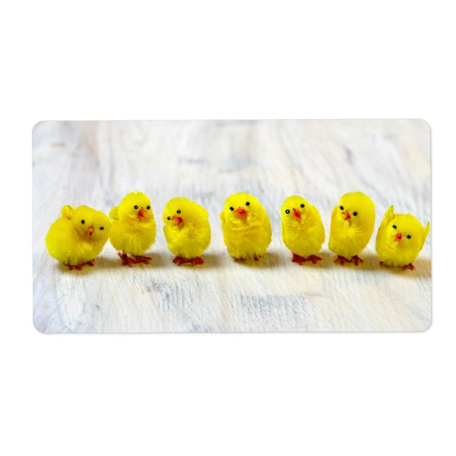 Easter Decoration - chicks in a row (Front)