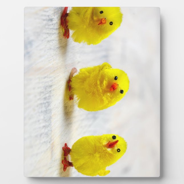 Easter Decoration - chicks in a row Plaque (Front)