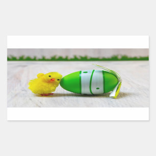 Easter Decoration - Easter egg and chick Sticker