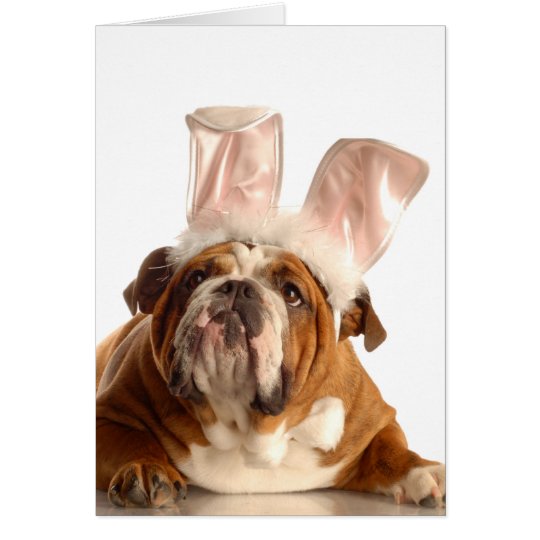 Easter Dog Greeting Card