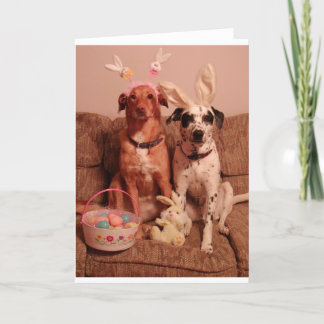 Easter Dogs Holiday Card