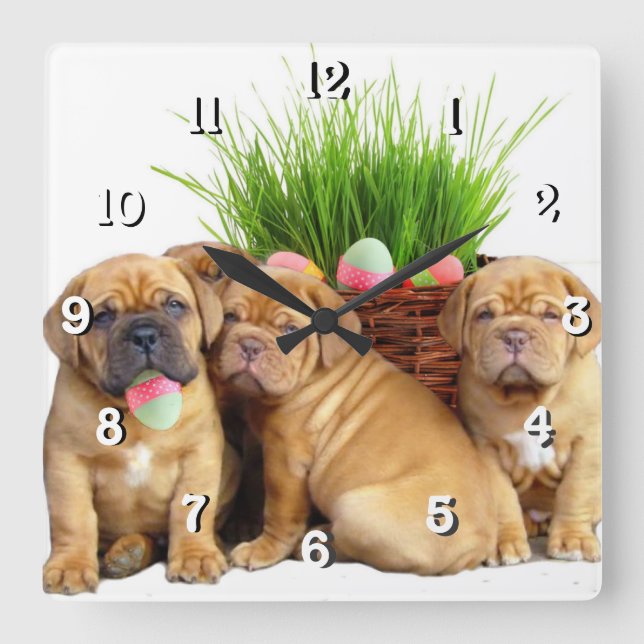 Easter Dogue de Bordeaux dog Square Wall Clock (Front)