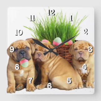 Easter Dogue de Bordeaux dog Square Wall Clock
