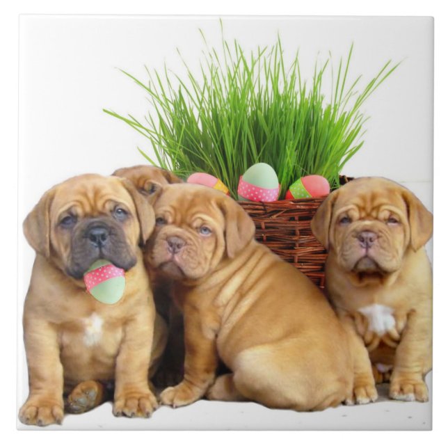 Easter Dogue de Bordeaux pups Tile (Front)
