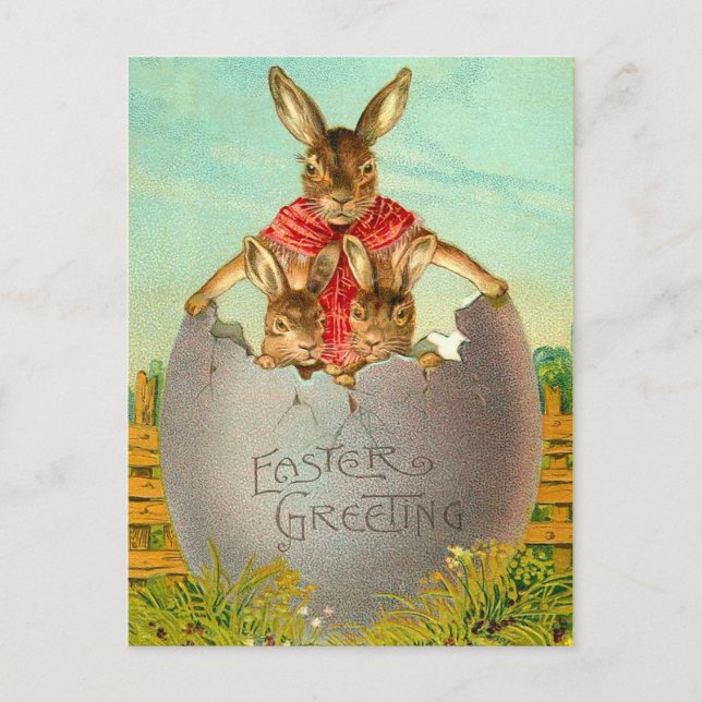 Easter Egg and Bunny Postcard (Front)