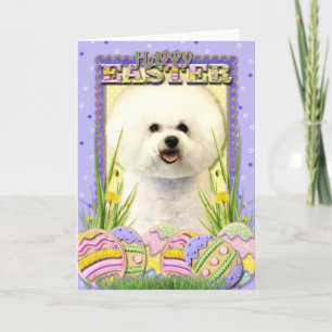 Easter Egg Cookies - Bichon Frise Holiday Card