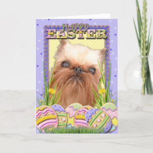 Easter Egg Cookies - Brussels Griffon Holiday Card