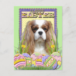 Easter Egg Cookies - Cavalier - Blenheim Holiday Postcard