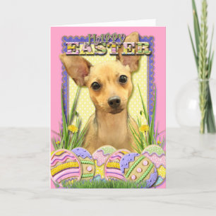 Easter Egg Cookies - Chihuahua - Daisy Holiday Card