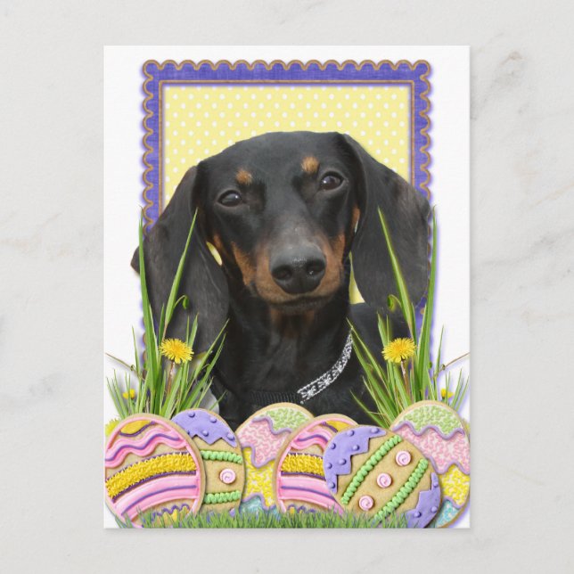Easter Egg Cookies - Dachshund Holiday Postcard (Front)