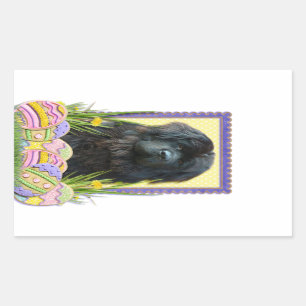 Easter Egg Cookies - Newfoundland Sticker