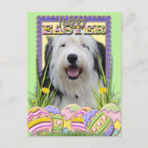 Easter Egg Cookies - Old English Sheepdog Holiday Postcard