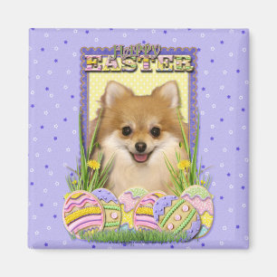 Easter Egg Cookies - Pomeranian Magnet