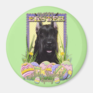 Easter Egg Cookies - Schnauzer Magnet