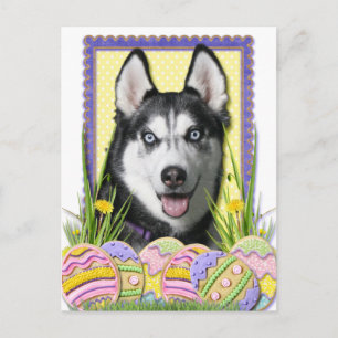 Easter Egg Cookies - Siberian Husky Holiday Postcard