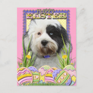 Easter Egg Cookies - Tibetan Terrier Holiday Postcard