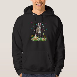 Easter Egg Funny Greyhound Dog Easter Sunday Hoodie