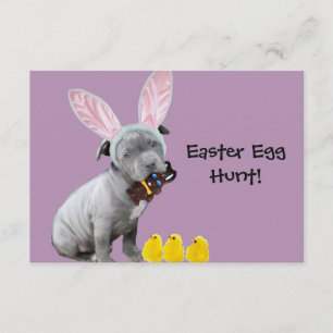 Easter Egg Hunt Pitbull puppy invitations