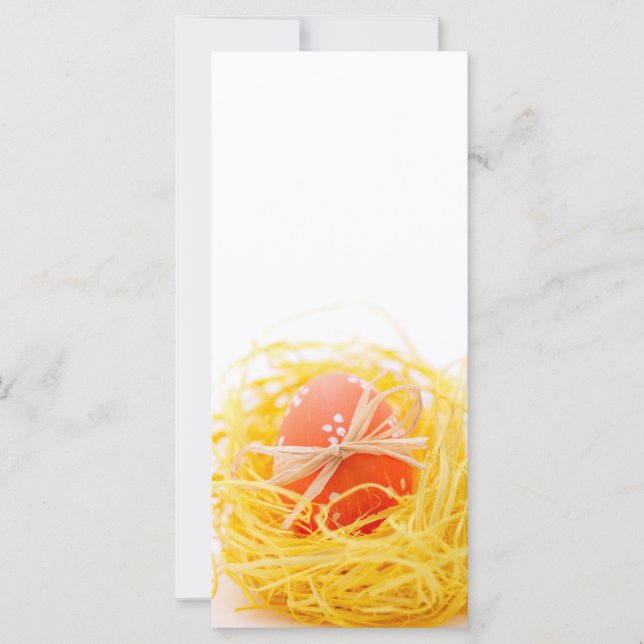 Easter egg in the nest (Front)